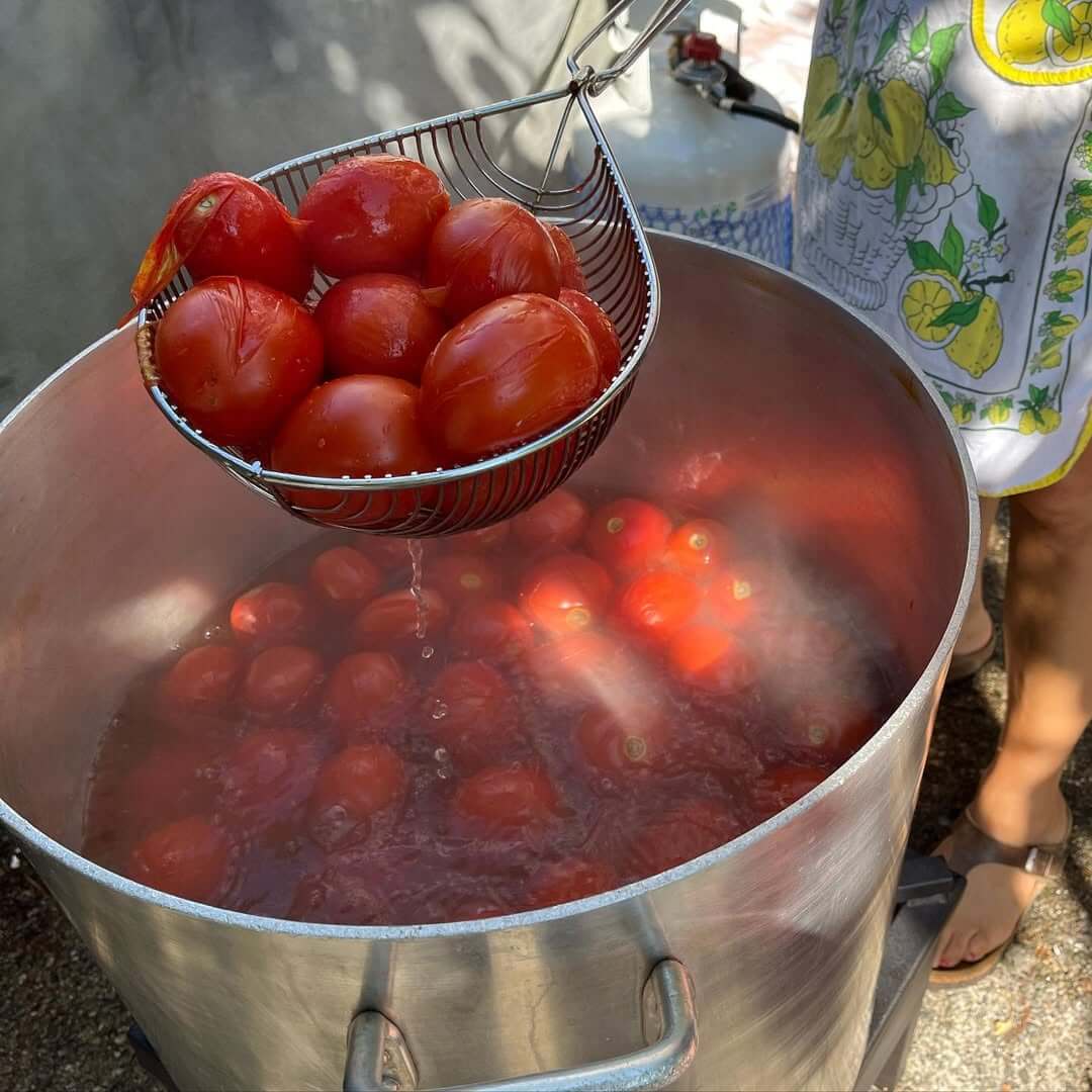 Pomodoro fatto in casa versato in barattoli per la conservazione